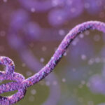 CDC Says America Must Be Prepared for Ebola Following Outbreak