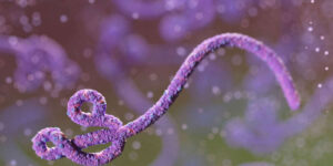 CDC Says America Must Be Prepared for Ebola Following Outbreak