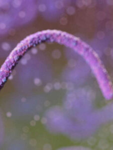 CDC Says America Must Be Prepared for Ebola Following Outbreak